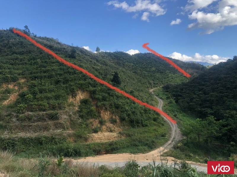 Chính chủ cần sang nhượng đất vườn siêu đẹp tại Bảo Lộc