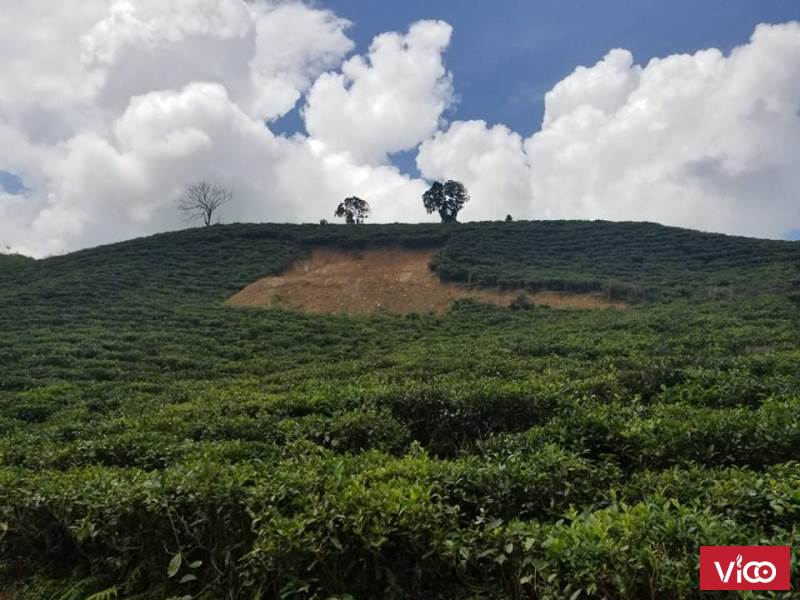 Đất săn may Bảo Lộc, có suối sau đất giá rẻ