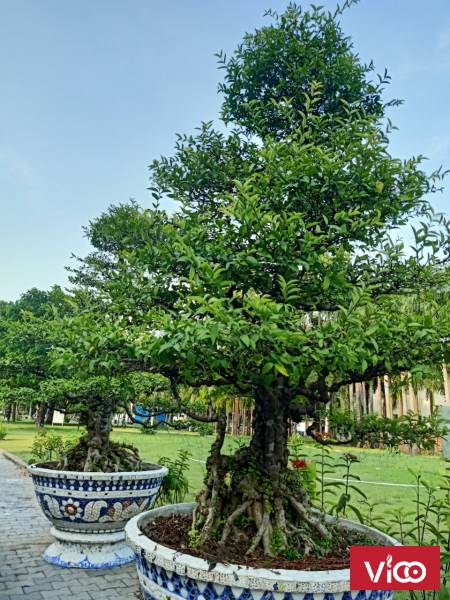 Cần bán gấp nhà đẹp 2 tầng ở đường Nguyễn Thị Thập Q7