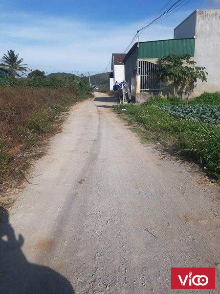 CẦN BÁN NHANH LÔ ĐẤT ĐÔNG THANH CÁCH TRUNG TÂM CHỢ NAM BAN 1KM