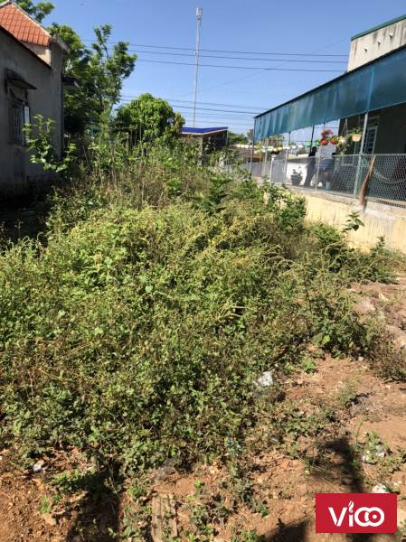 Bán đất mặt tiền kinh doanh quốc lộ 27, đối diện cây xăng tại Thanh Bình, Bình Thạnh, Đức Trọng