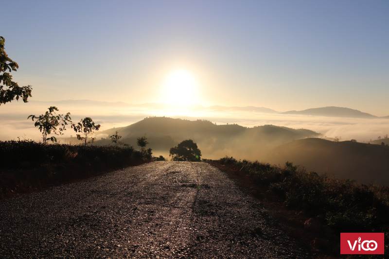 KHU ĐẤT NGHỈ DƯỠNG TRÊN ĐỈNH ĐỒI SĂN MÂY VIEW ĐẸP, GIÁ RẺ