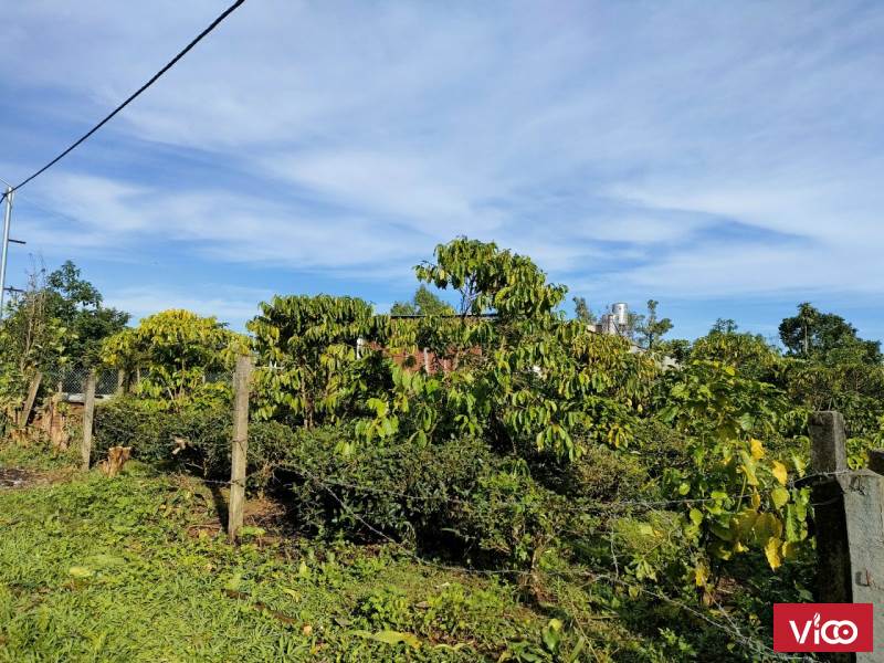 tận hưởng ngay giá ưu đãi cho mảnh đất siêu đẹp tại bảo lộc