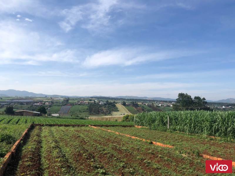 Chính chủ bán đất đầu tư tại xã Đạ Ròn huyện Đơn Dương Lâm Đồng