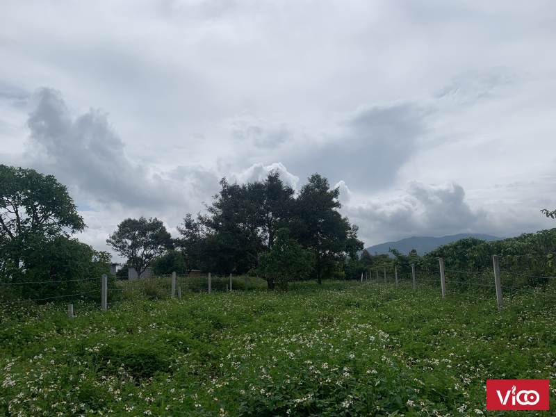 Bán lô đất hẻm Lê Thị Riêng, dt 10x50, giá 1,6 tỷ, Bảo Lộc