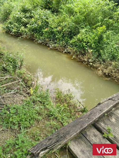 CHÍNH CHỦ CẦN BÁN NHANH LÔ ĐẤT THÔN 3 BẢO LỘC LÂM ĐỒNG