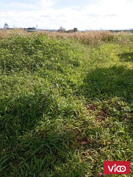 CẦN BÁN NHANH LÔ ĐẤT ĐOÀN THỊ ĐIỂM TP ĐÀ LẠT LÂM ĐỒNG