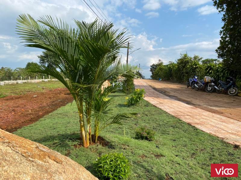 BÁN ĐẤT HỒ CÁNH HỒ CÁNH BƯỚM SỔ SẴN CHÍNH CHỦ.