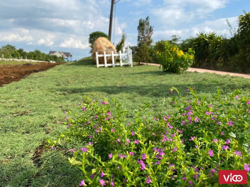 BÁN ĐẤT HỒ CÁNH HỒ CÁNH BƯỚM SỔ SẴN CHÍNH CHỦ.