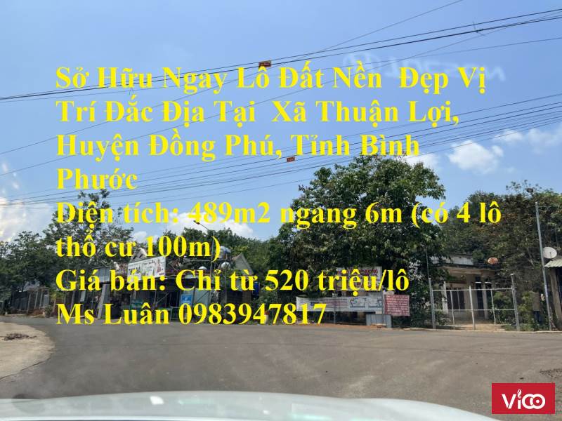 Sở Hữu Ngay Lô Đất Nền Đẹp Vị Trí Đắc Địa Tại Xã Thuận Lợi, Huyện Đồng Phú, Tỉnh Bình Phước