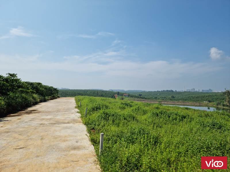 Chính chủ bán đất đẹp view Hồ, Lộc Phú, Bảo Lâm, Lâm Đồng, Giá tốt