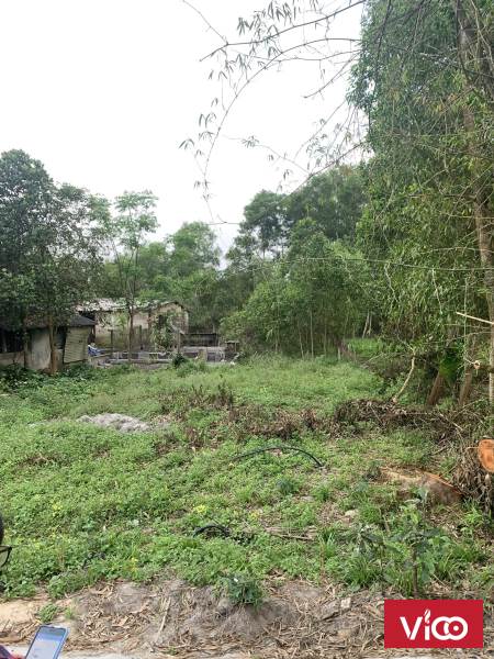 Cần bán lô đất tại X.Phú Gia H. Phú Vang