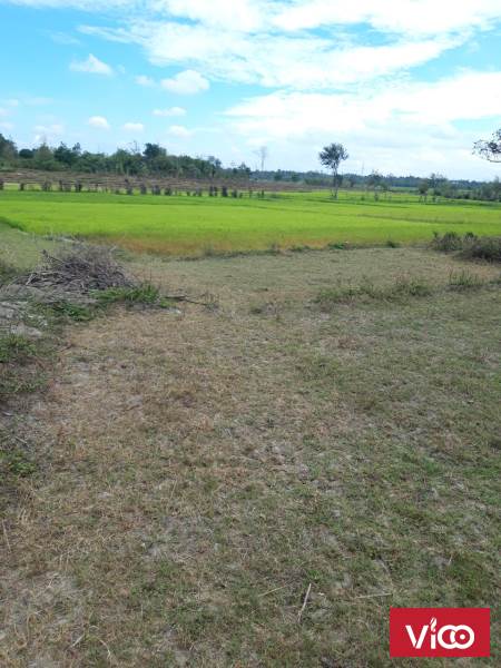 Chính Chủ Cần Bán Lô Đất Vị Trí Đẹp Tại Xã Ea Tiêu, Huyện Cư Kuin, Tỉnh Đăk Lăk