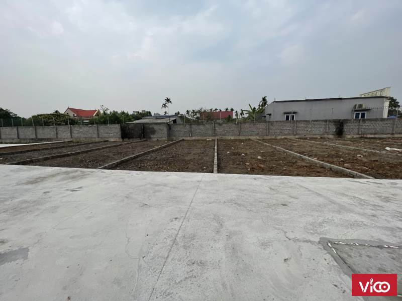Đất nền phân lô AN LÃO khu vực Bât Trang
