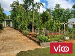 Chính chủ cần bán đất vị trí đẹp tại Đắk Lắk