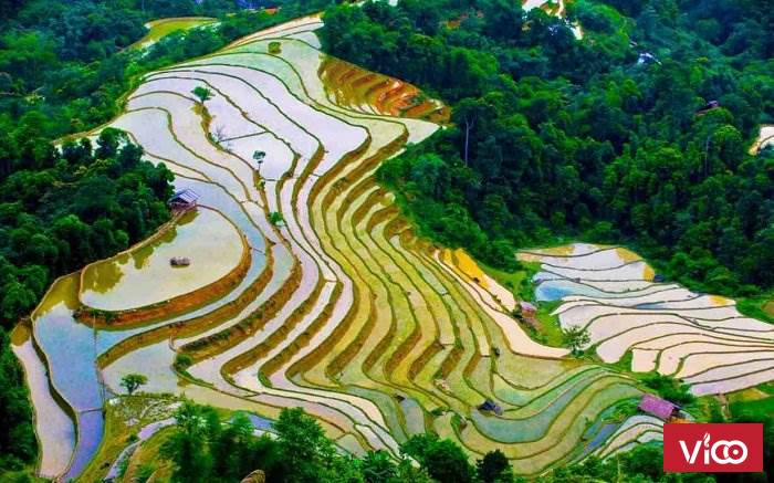 Bán đất nền SaPa Tả Phìn view ruộng bậc thang phù hợp xây khách sạn..