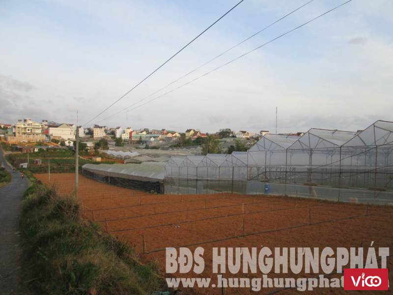 CẦN TIỀN Bán Gấp lô đất NN Giá Rẻ tại HXH đường NGÔ TẤT TỐ, Phường 08.