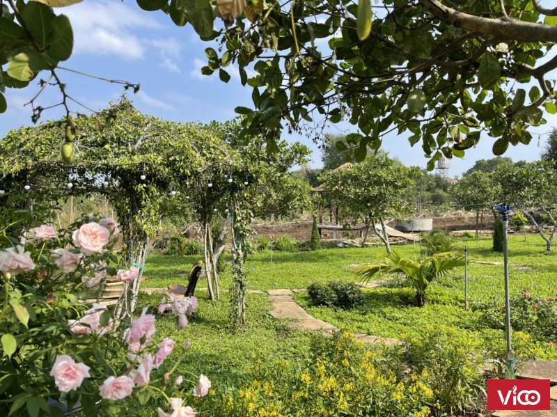 Mua Bán Đất Ban Mê Thuột Đất Chính Chủ