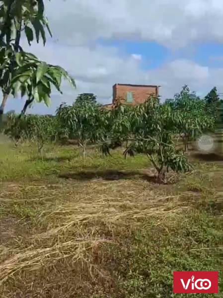 Chính Chủ Bán Đất 3 Mặt Tiền Vị Trí Đẹp Xã Đắk RLa, Dăk Mil, Đắk Nông