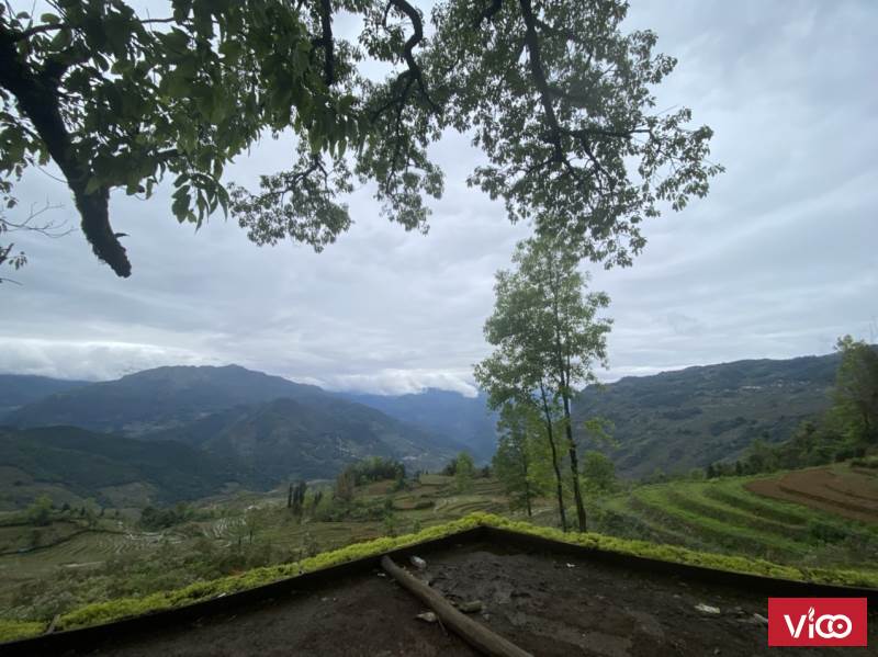 Bán đất nền Y TýSapa2 diện tích 1084M2,sổ đỏ chính chủ giá cho nhà đầu tư