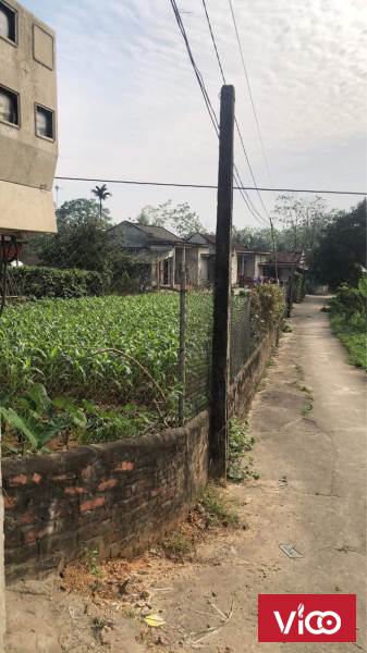 Do không có nhu cầu sử dụng nên gia đình muốn gả bán thửa đất tại Hạ Hoà Phú Thọ