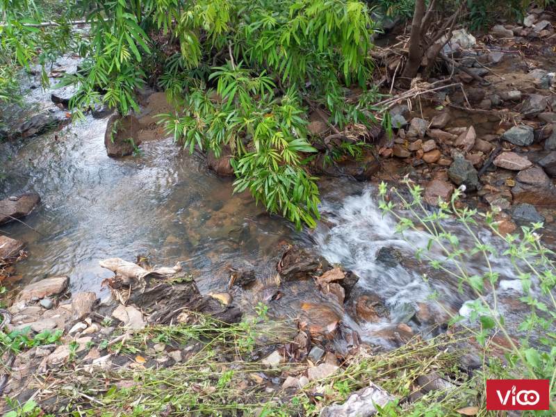Cần BÁN LÔ ĐẤT 7.5 hét CÓ SUỐI CHẢY QUANH ĐẤT CƠ HỘI CHO CÁC BẠN ĐAM MÊ TRỒNG CÂY