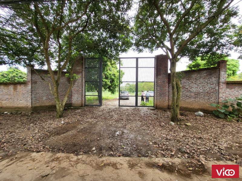 7200m2 ( diện tích thực 8000) 200ONT Cao Sơn Lương Sơn