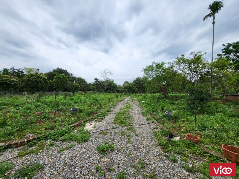 7200m2 ( diện tích thực 8000) 200ONT Cao Sơn Lương Sơn