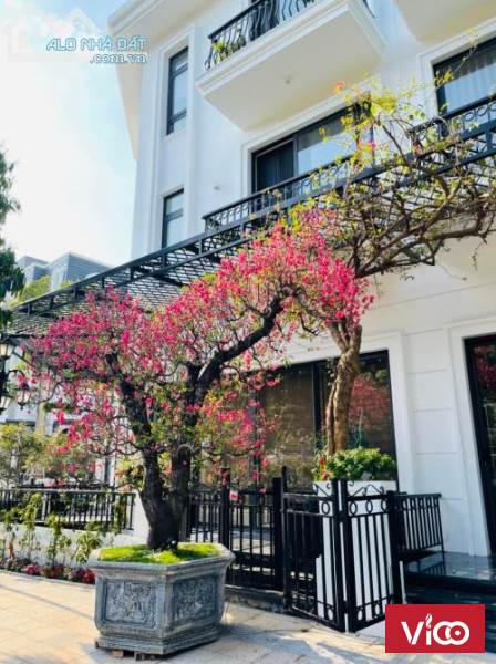 Bán BiệtThự Đơn Lập 240mx4T khu đô thị An Hưng Hà Đông