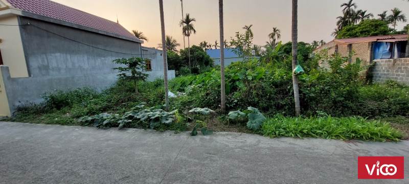 BÁN NHANH 2 LÔ LIỀN KỀ ĐẤT ĐẸP XUÂN ĐÀI TRƯỜNG THỌ