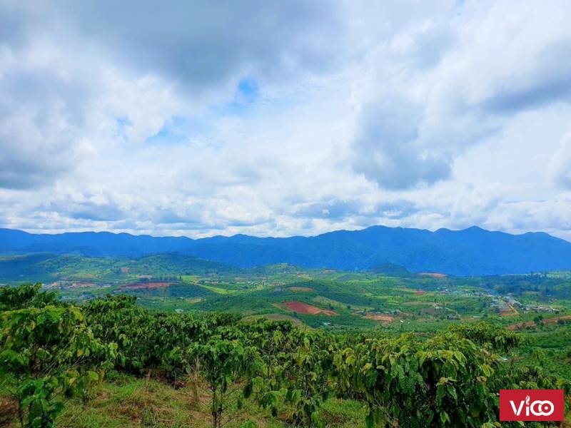 CẦN BÁN NHANH LÔ ĐẤT LỘC BẮC BẢO LÂM LÂM ĐỒNG