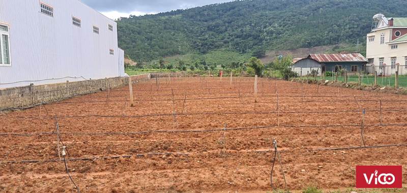 Bán đất trung tâm Hiệp an 6x50 100m2 thổ cư Đức trọng