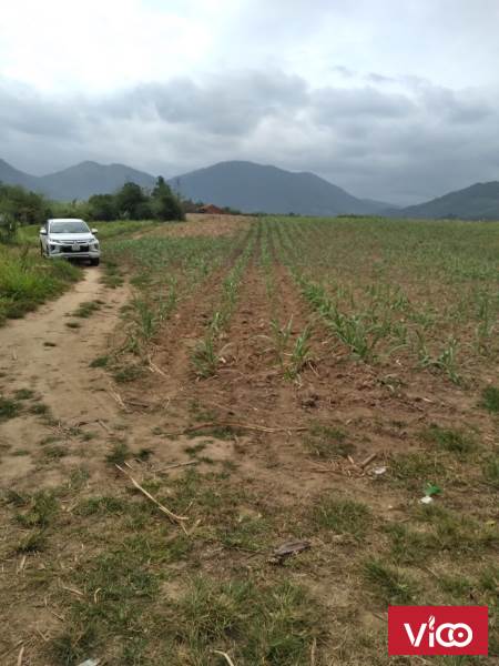 Cần Bán Lô Đất Xã Ninh Xuân Thị Xã Ninh Hòa Tỉnh khánh hòa