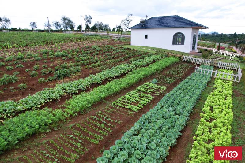 Bán Đất Xã Lộc An Bảo Lộc