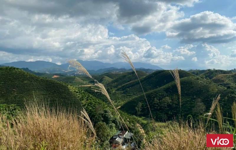 mua ngay lô đất giá đẹp đất ngon tại bảo lộc