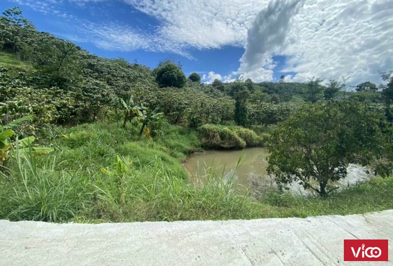 siêu phẩm có một không hai với giá siêu siêu đẹp