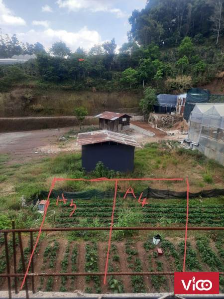 Bán 2 Lô Đất liền kề Tại Phường 5, Tp Đà Lạt.