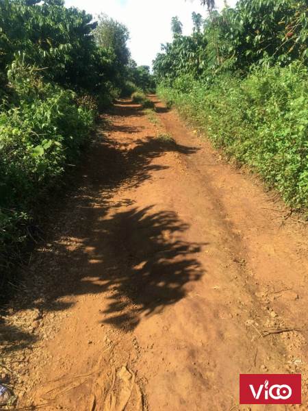 chính chủ kẹt tiền bán mảnh đất cho chủ đầu tư mới