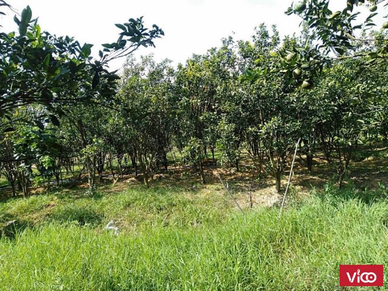 bán mảnh đất tuyệt đẹp cực giá trị cho các chủ đầu tư