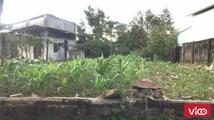 đất đẹp nhức nhối giá còn đẹp hơn