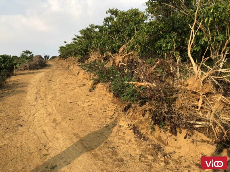 cần bán mảnh đất thích hợp làm nơi nghỉ dưỡng giá tốt