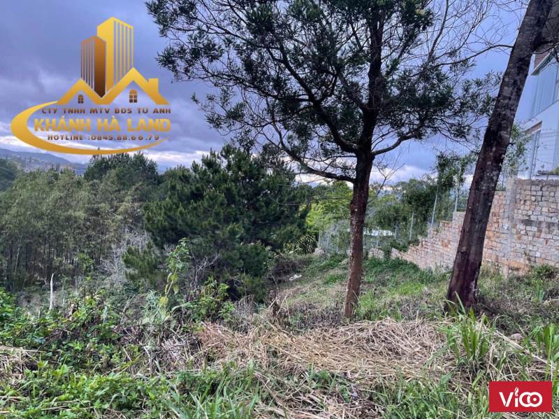 CẦN BÁN NHANH LÔ ĐẤT BIỆT THỰ ĐẸP VIỆN QUY HOẠCH NGHIÊN CỨU HẠT NHÂN