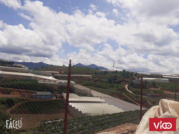 BÁN NHANH LÔ ĐẤT PHƯỜNG 7