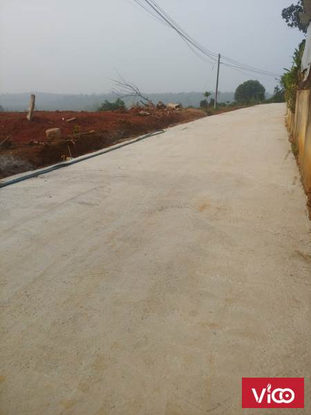 CHÍNH CHỦ CẦN BÁN GẤP LÔ ĐẤT TRƯỜNG CHINH HÒA NINH DI LINH LÂM ĐỒNG