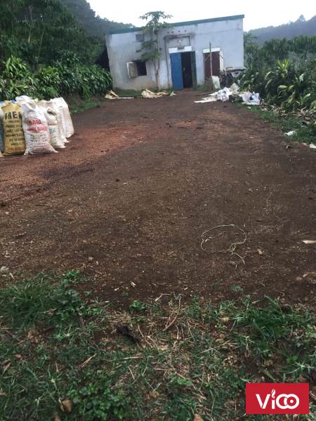 Chính chủ cần bán gấp Lô Đất 1,2 ha,Cách DT725 chỉ 50m