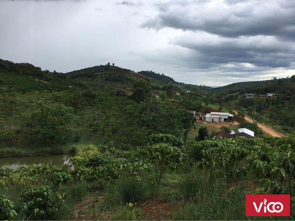 Chính chủ cần bán ở Thôn Klong , xã Đạ Pal, huyện Đạ Tẻh, Tỉnh Lâm Đồng