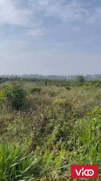 ĐÁT CHÍNH CHỦ 2518 M2 LỘC AN CHÍNH CHỦ MẶT TIỀN ĐƯỜNG 100M