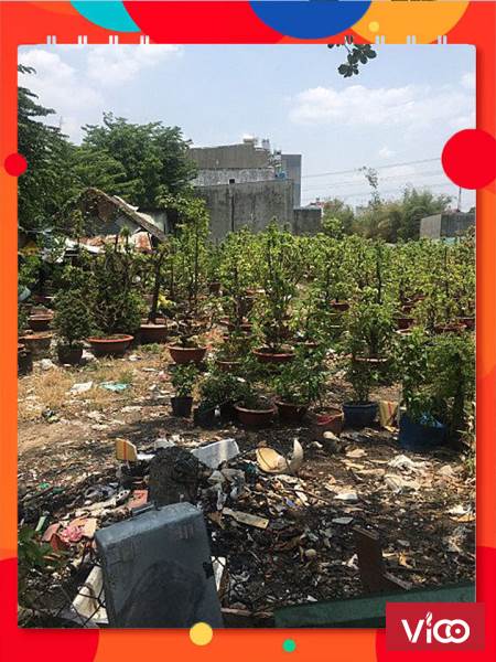 Giá tốt. 335m2 đất ở, nhỉnh 20 triệu / m2. Tân Chánh Hiệp, Q12