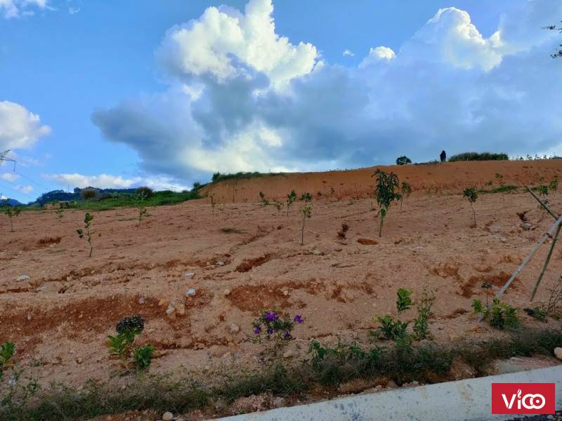 bán gấp lô đất siêu tiềm năng giá siêu hời