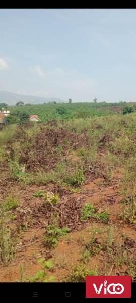 Cho thuê mặt bằng ngay mặt đường Lê Trọng Tấn, Hà Đông, Hà Nội